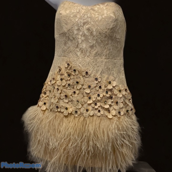 Leedy Shenzhen Dresses & Skirts - Leedy Mini Strapless Lace Feather Rhinestone Dress